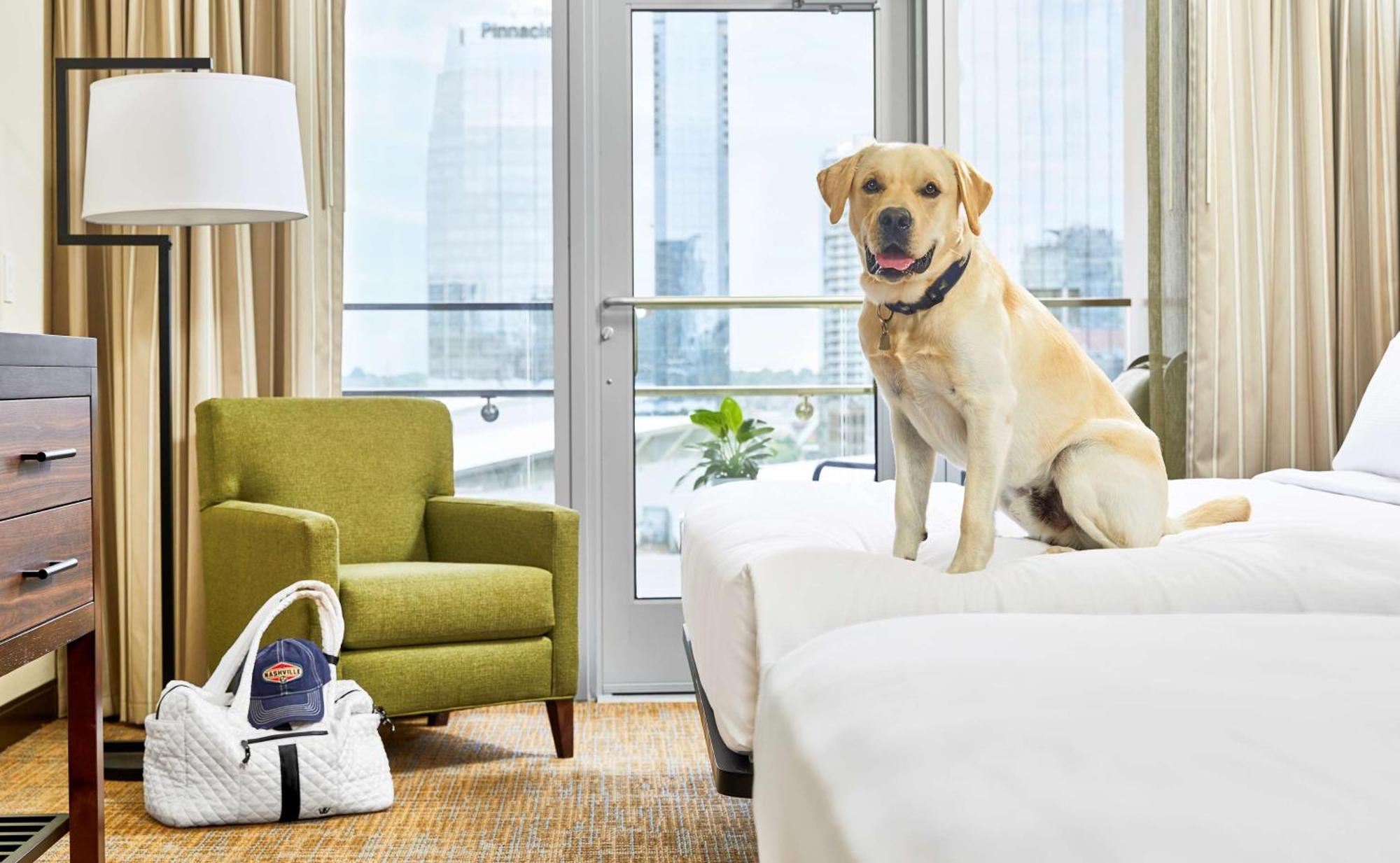 Embassy Suites By Hilton Nashville Downtown المظهر الخارجي الصورة